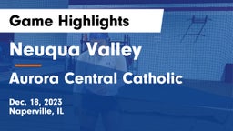 Neuqua Valley  vs Aurora Central Catholic Game Highlights - Dec. 18, 2023