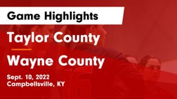 Taylor County  vs Wayne County  Game Highlights - Sept. 10, 2022