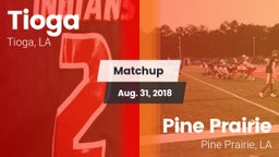 Matchup: Tioga vs. Pine Prairie  2018