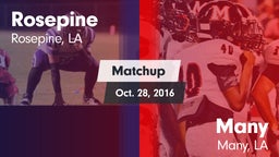 Matchup: Rosepine vs. Many  2016