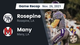 Recap: Rosepine  vs. Many  2021