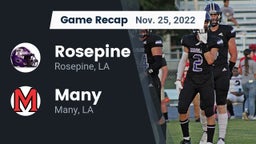 Recap: Rosepine  vs. Many  2022