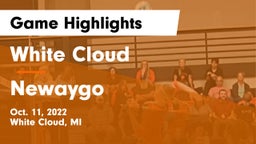 White Cloud  vs Newaygo  Game Highlights - Oct. 11, 2022