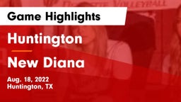 Huntington  vs New Diana Game Highlights - Aug. 18, 2022