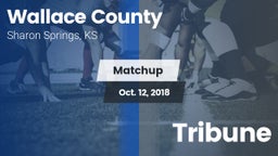 Matchup: Wallace County vs. Tribune 2018