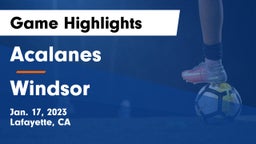 Acalanes  vs Windsor Game Highlights - Jan. 17, 2023