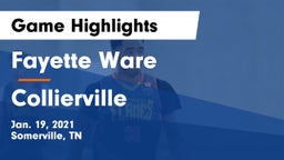 Fayette Ware  vs Collierville  Game Highlights - Jan. 19, 2021