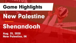 New Palestine  vs Shenandoah  Game Highlights - Aug. 25, 2020