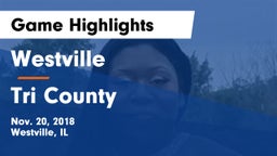 Westville  vs Tri County Game Highlights - Nov. 20, 2018