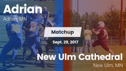 Matchup: Adrian vs. New Ulm Cathedral  2017