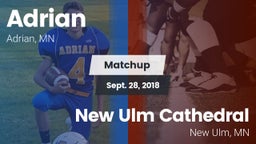 Matchup: Adrian vs. New Ulm Cathedral  2018