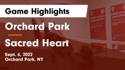 Orchard Park  vs Sacred Heart Game Highlights - Sept. 6, 2022