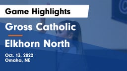 Gross Catholic  vs Elkhorn North  Game Highlights - Oct. 13, 2022