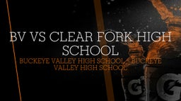 Buckeye Valley football highlights BV vs Clear Fork High School