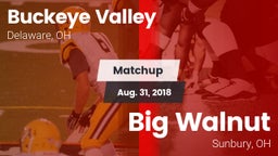 Matchup: Buckeye Valley vs. Big Walnut 2018