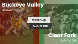 Matchup: Buckeye Valley vs. Clear Fork  2018