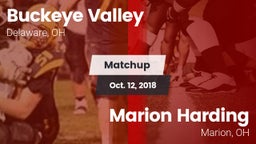 Matchup: Buckeye Valley vs. Marion Harding  2018