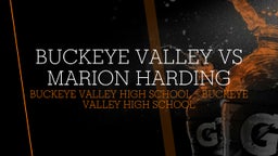 Buckeye Valley football highlights Buckeye Valley vs Marion Harding