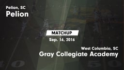 Matchup: Pelion vs. Gray Collegiate Academy 2016