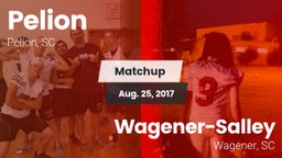 Matchup: Pelion vs. Wagener-Salley  2017