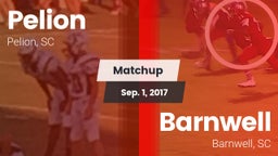 Matchup: Pelion vs. Barnwell  2017