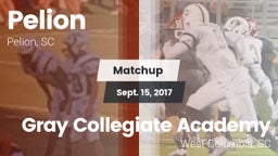 Matchup: Pelion vs. Gray Collegiate Academy 2017