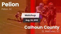 Matchup: Pelion vs. Calhoun County  2018