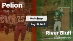 Matchup: Pelion vs. River Bluff  2018