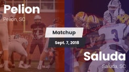 Matchup: Pelion vs. Saluda  2018