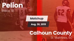 Matchup: Pelion vs. Calhoun County  2019