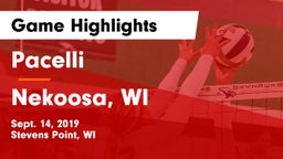 Pacelli  vs Nekoosa, WI Game Highlights - Sept. 14, 2019