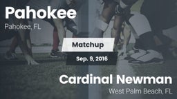 Matchup: Pahokee vs. Cardinal Newman  2016