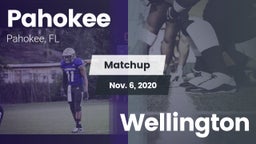 Matchup: Pahokee vs. Wellington 2020