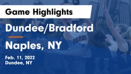 Dundee/Bradford vs Naples, NY Game Highlights - Feb. 11, 2022