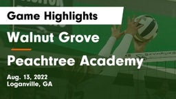 Walnut Grove  vs Peachtree Academy Game Highlights - Aug. 13, 2022