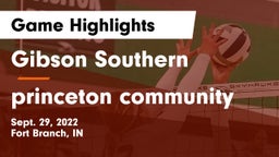 Gibson Southern  vs princeton community Game Highlights - Sept. 29, 2022