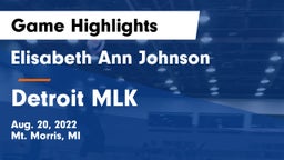 Elisabeth Ann Johnson  vs Detroit MLK Game Highlights - Aug. 20, 2022