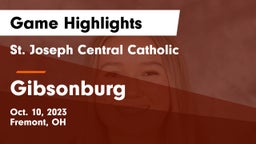 St. Joseph Central Catholic  vs Gibsonburg  Game Highlights - Oct. 10, 2023