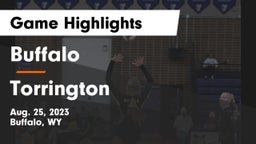 Buffalo  vs Torrington  Game Highlights - Aug. 25, 2023