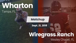Matchup: Wharton vs. Wiregrass Ranch  2018