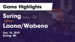 Suring  vs Laona/Wabeno Game Highlights - Jan. 14, 2019