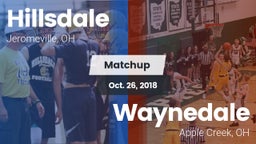 Matchup: Hillsdale vs. Waynedale  2018