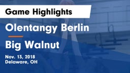 Olentangy Berlin  vs Big Walnut Game Highlights - Nov. 13, 2018