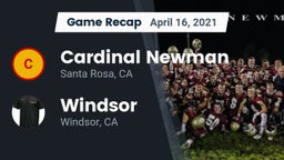 Recap: Cardinal Newman  vs. Windsor  2021