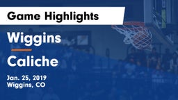 Wiggins  vs Caliche  Game Highlights - Jan. 25, 2019