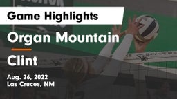***** Mountain  vs Clint Game Highlights - Aug. 26, 2022