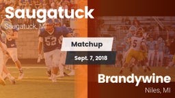 Matchup: Saugatuck vs. Brandywine  2018