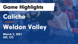 Caliche  vs Weldon Valley  Game Highlights - March 2, 2021