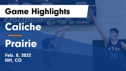 Caliche  vs Prairie  Game Highlights - Feb. 8, 2022