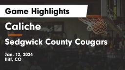 Caliche  vs Sedgwick County Cougars Game Highlights - Jan. 12, 2024